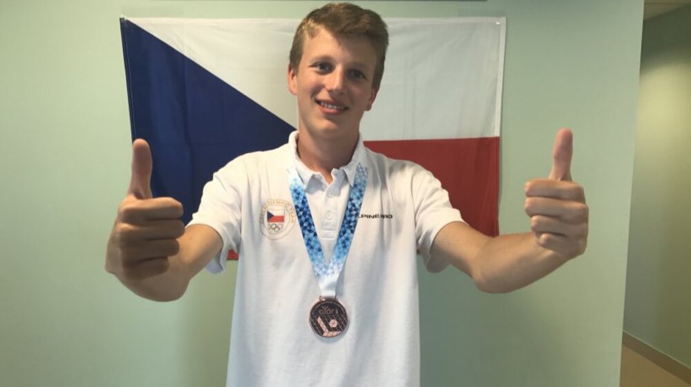 Györ: Davidík bronzový v NR, Zámečníková 4.