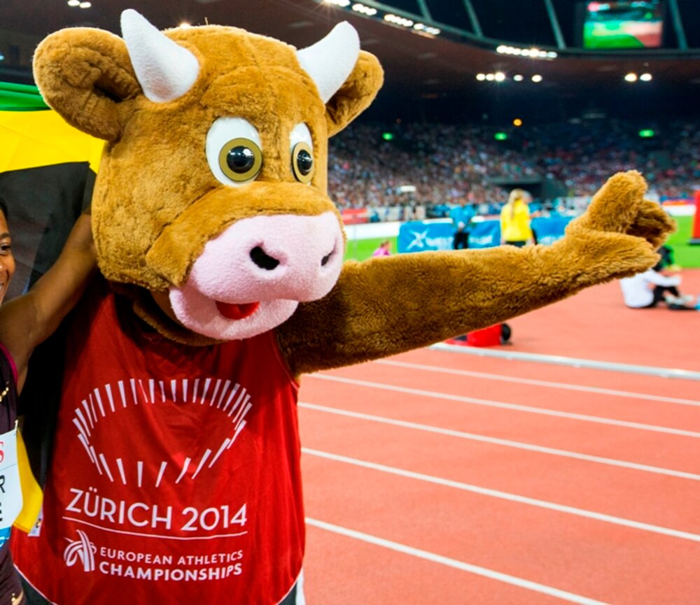 Tři čtvrtiny výpravy odletěly do Curychu