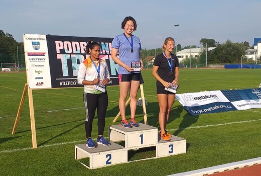 Češi doma i v zahraničí