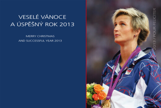 Úspěšný rok 2013